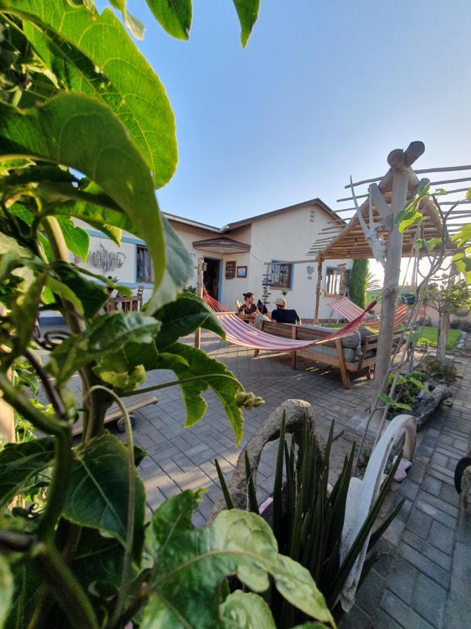 מלון סווקופמונד Salty Jackal Surf Camp מראה חיצוני תמונה